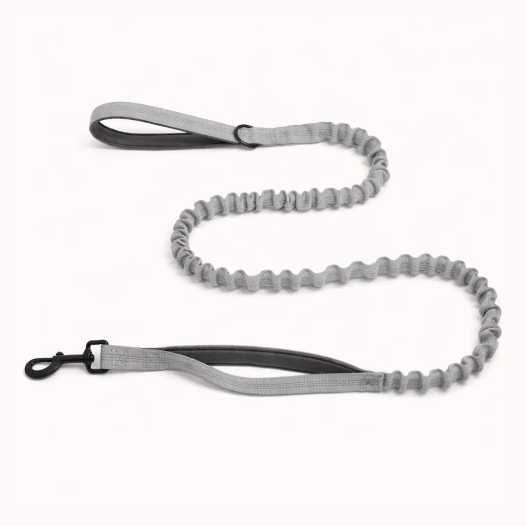 🎁 Laisse élastique PureVita GRATUITE