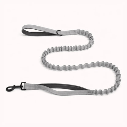 🎁 Laisse élastique PureVita GRATUITE