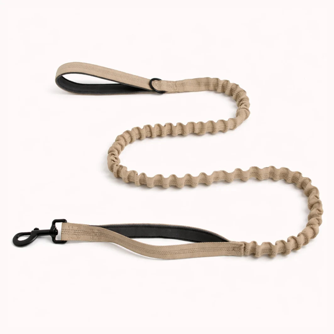 🎁 Laisse élastique PureVita GRATUITE