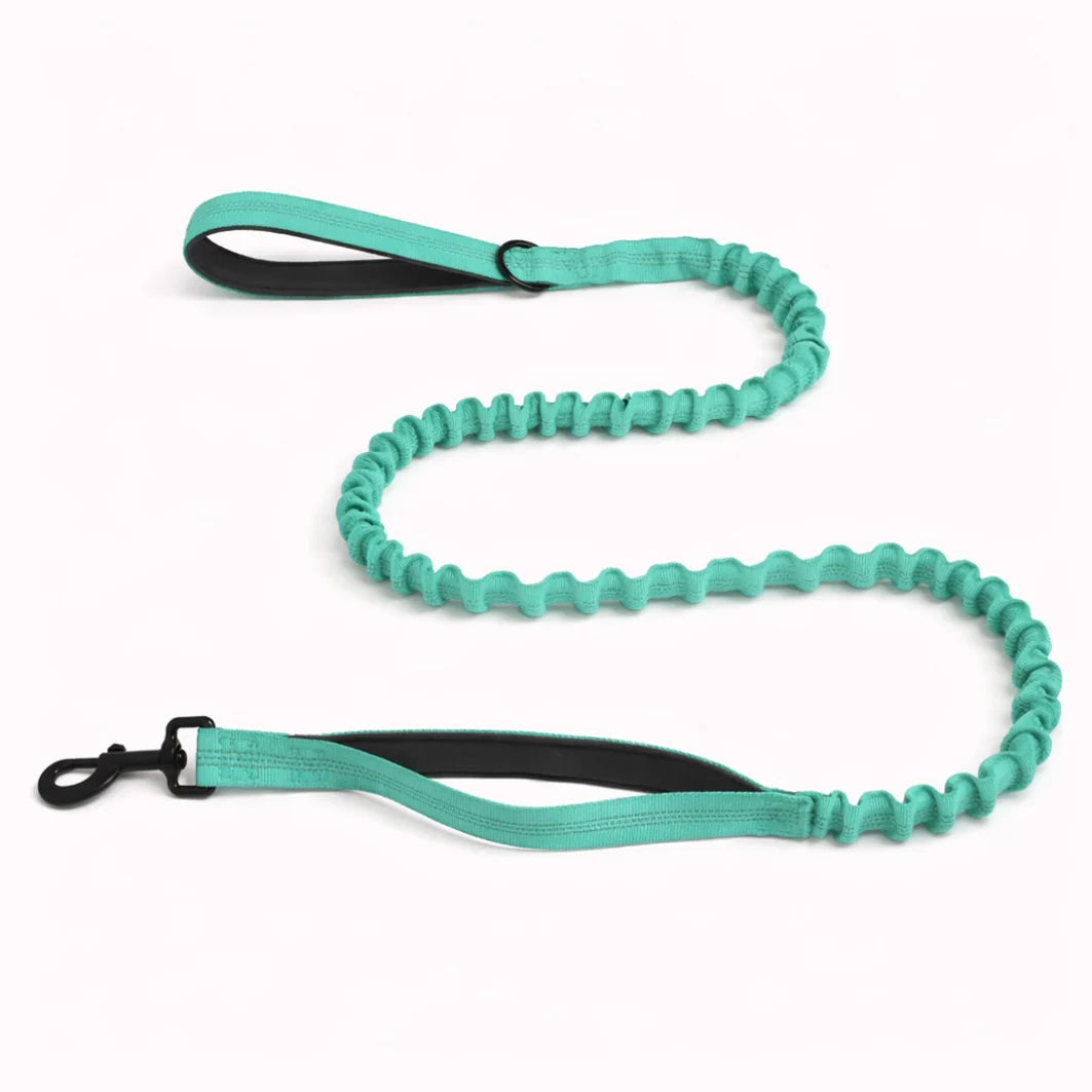 🎁 Laisse élastique PureVita GRATUITE