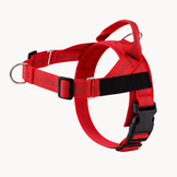 Harnais anti-traction pour chien PureVita