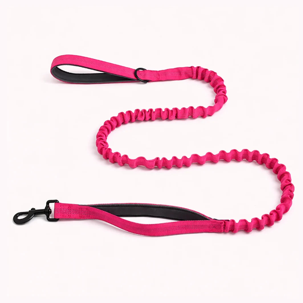 🎁 Laisse élastique PureVita GRATUITE