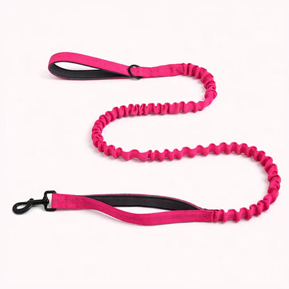 🎁 Laisse élastique PureVita GRATUITE