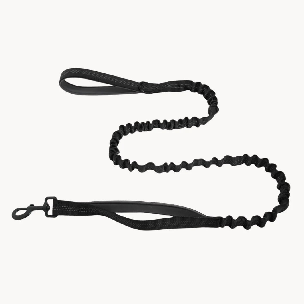 🎁 Laisse élastique PureVita GRATUITE