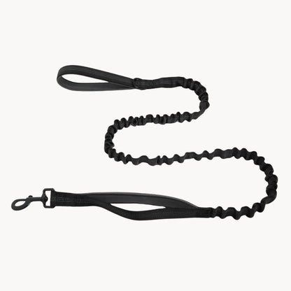 🎁 Laisse élastique PureVita GRATUITE