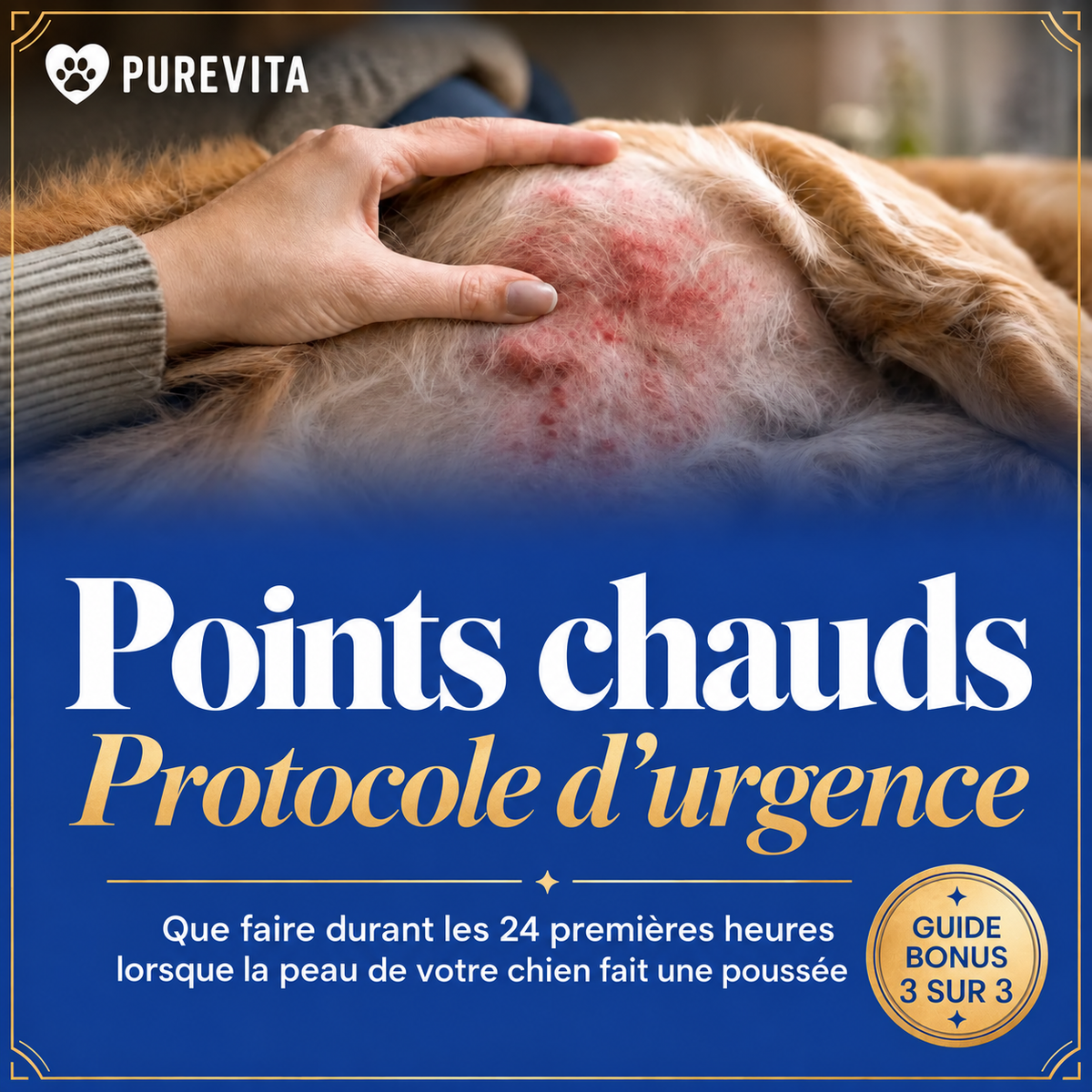 Protocole d'urgence en cas de « point chaud »
