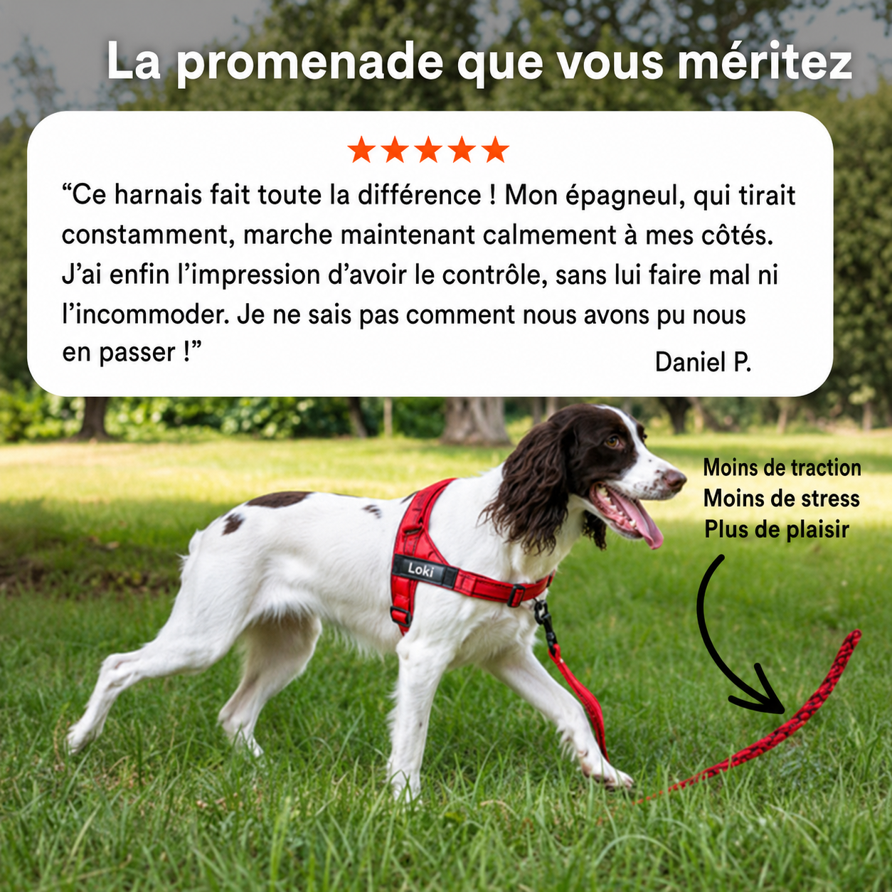 Harnais anti-traction pour chien PureVita