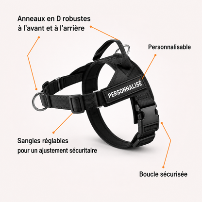 Harnais anti-traction pour chien PureVita