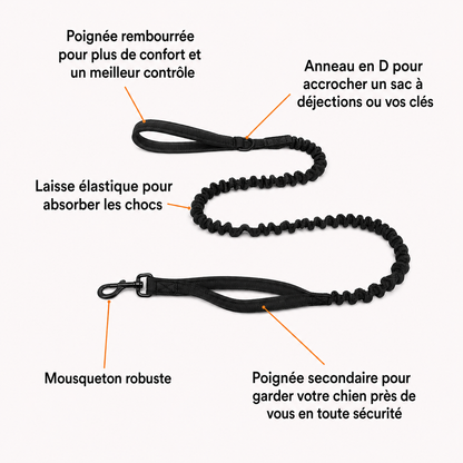 Harnais anti-traction pour chien PureVita