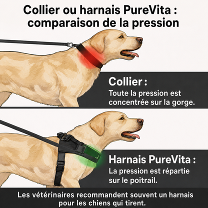 Harnais anti-traction pour chien PureVita