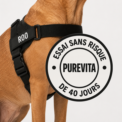 Harnais anti-traction pour chien PureVita